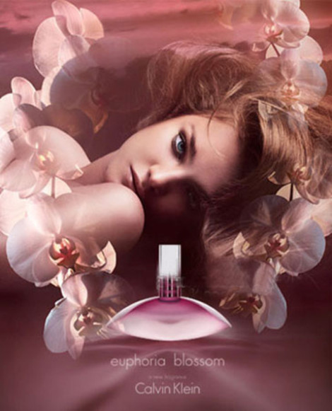 euphoria blossom Calvin Klein